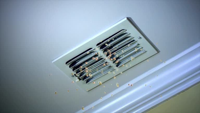 Best Affordable HVAC Duct Cleaning  in Berly, MO