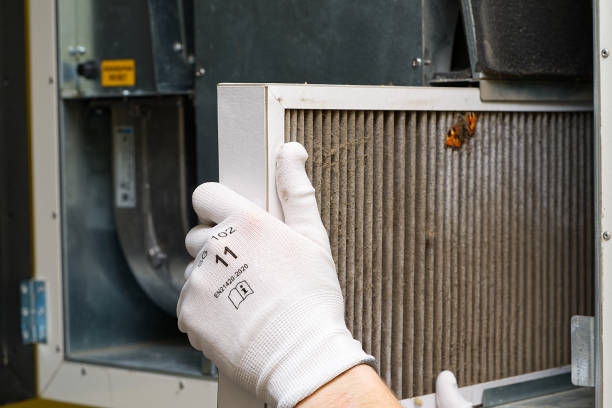Best Affordable Duct Cleaning Services  in Berly, MO
