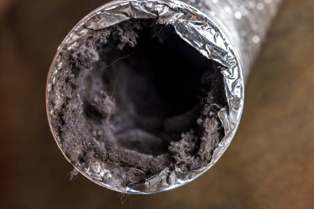 Best Commercial Air Duct Cleaning  in Berly, MO